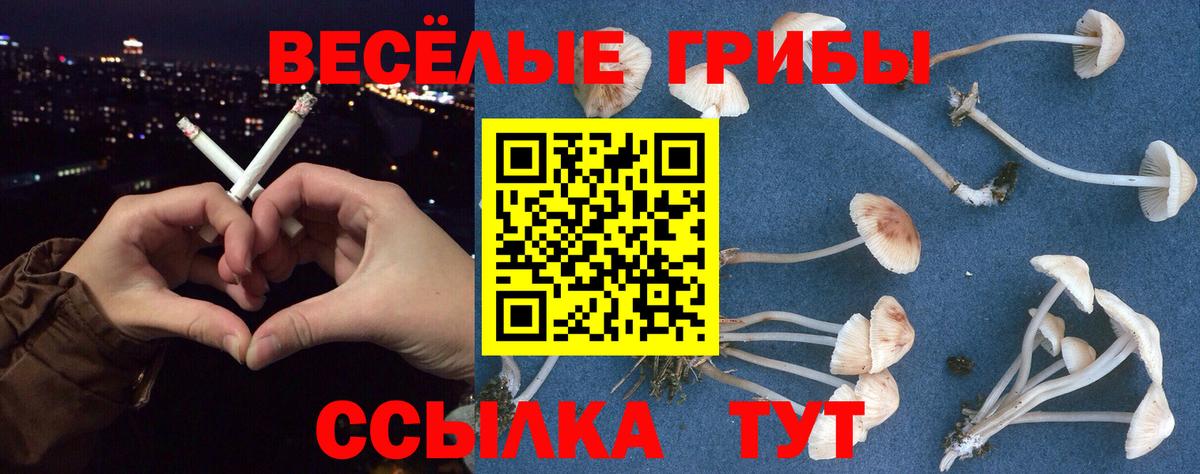 Ногинск  Псилоцибиновые грибы Magic Shrooms  Вход с VPN 