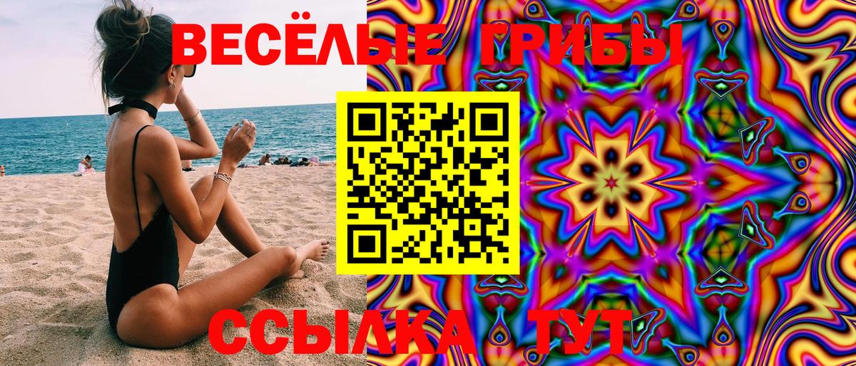 Галлюциногенные грибы GOLDEN TEACHER Ногинск